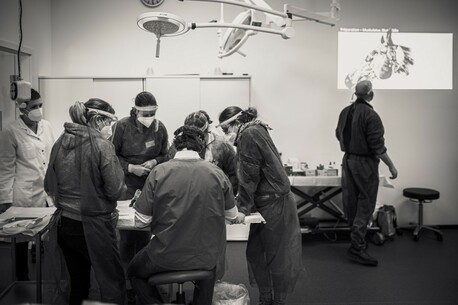 Anatomie Kurs Pferd